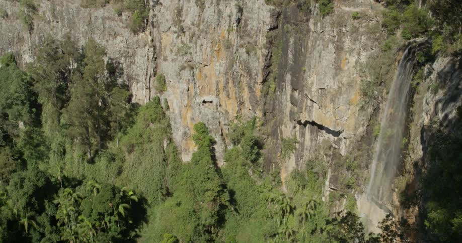 A waterfall on a sheer cliff in a forest