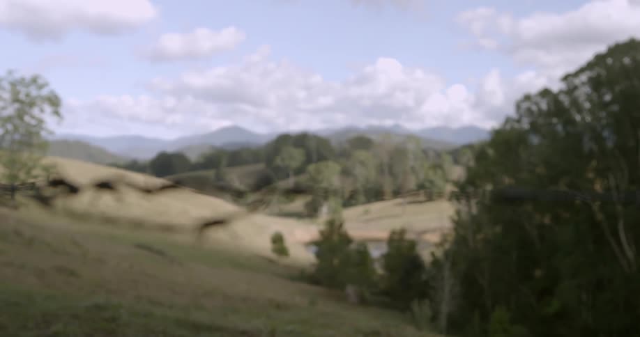 Behind the barb wire is hills with trees