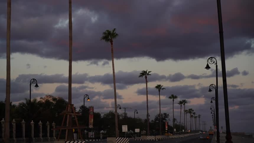 Clouds hover over a palm tree lined road at dusk