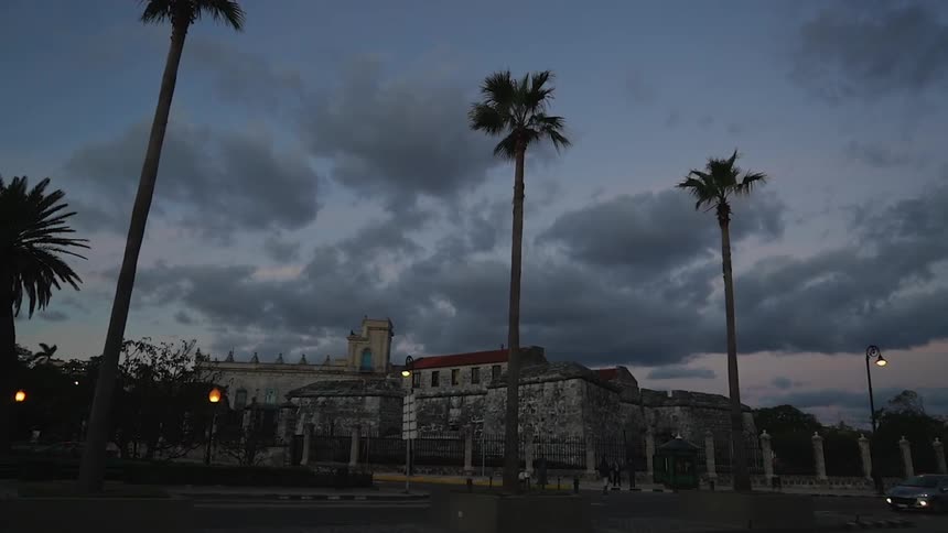 Palm trees tower into the sky in front of a building