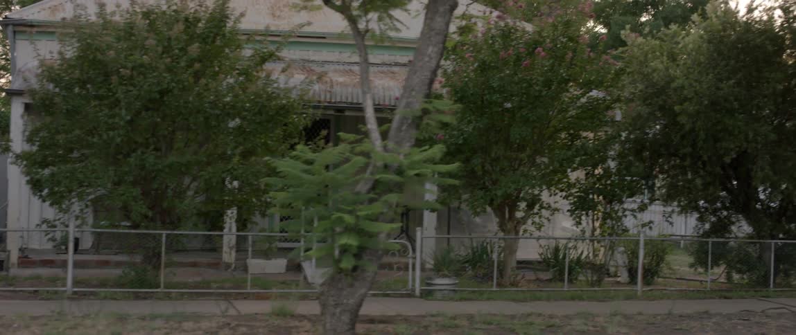 Trees grow in the yard of a rundown house in a rural neighborhood