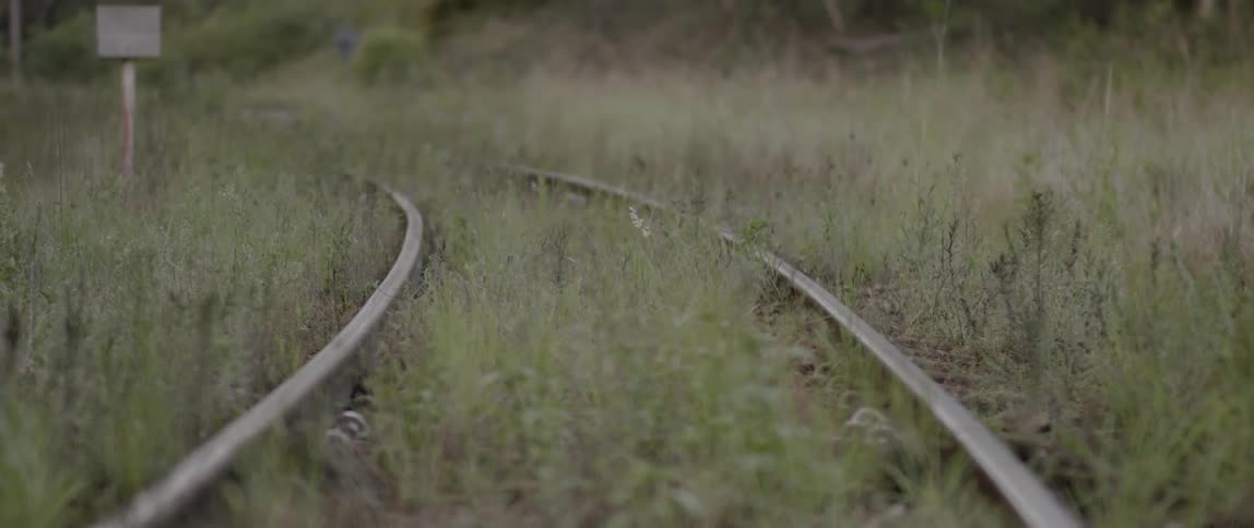 An old railroad track is overgrown with weeds