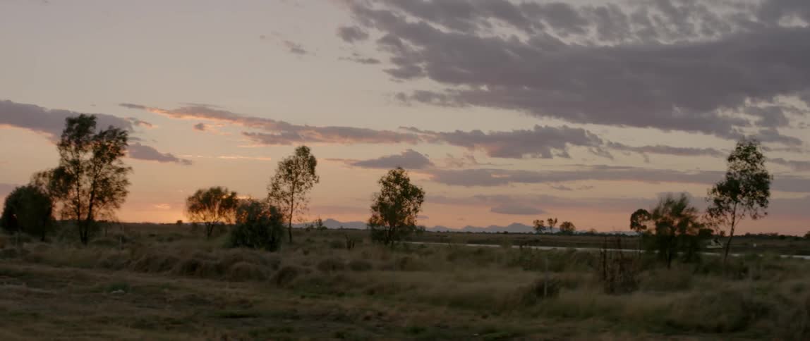 The field has tall grass at dawn