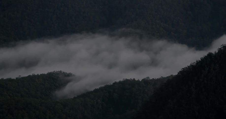 Fog creeps through the trees and valley of some hills
