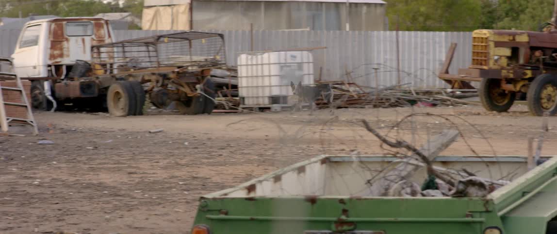 A dog walking in a junkyard stops and barks