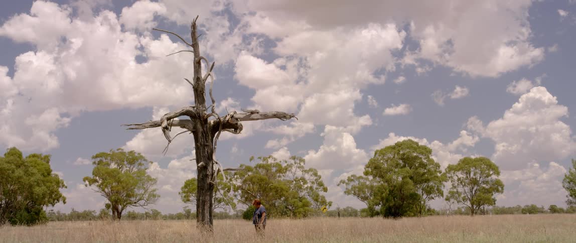 A woman stands at the base of a dead tree