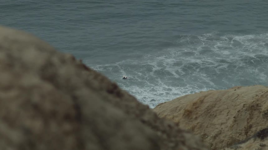 A bird floats in the water by the shore