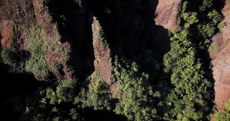 The mountain is covered with trees