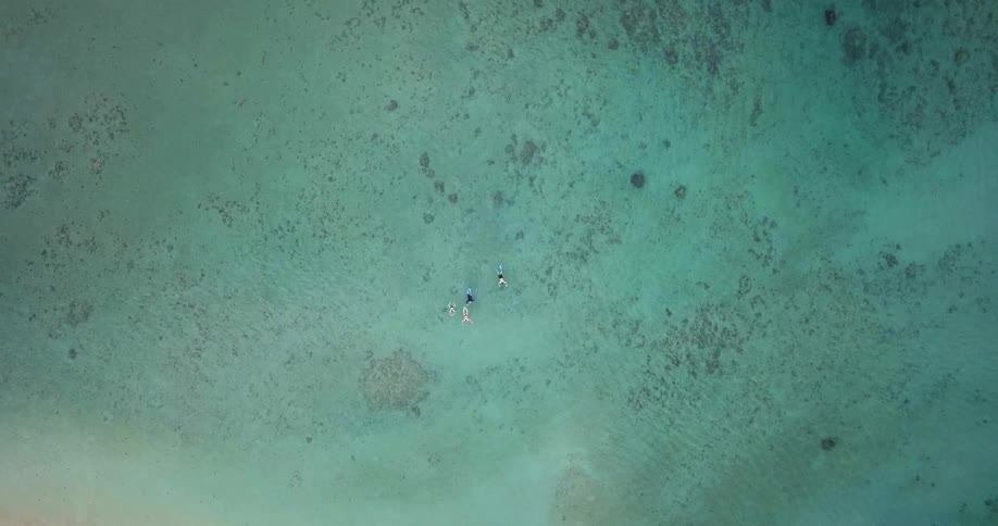 Aerial view of people swimming in a large body of water