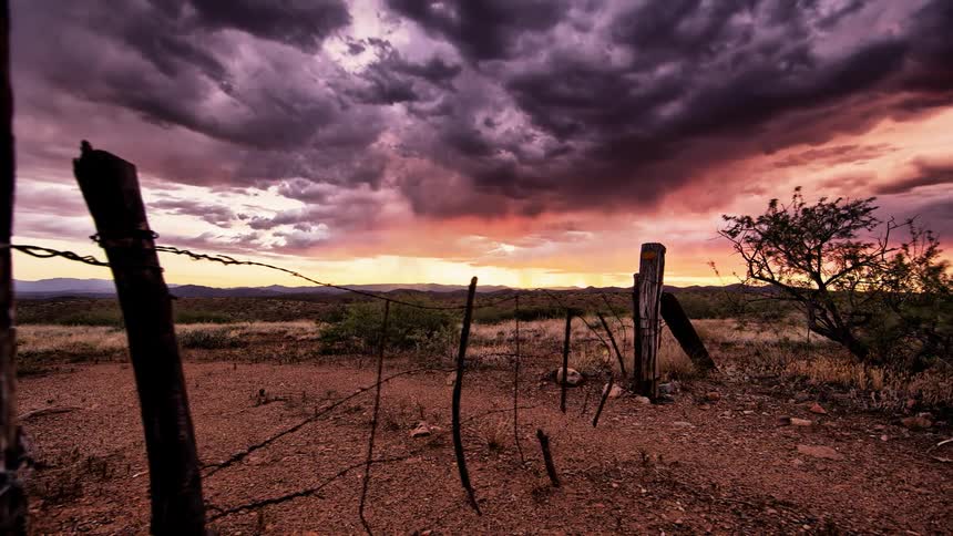Gnarled fence in the country on a cloudy evening