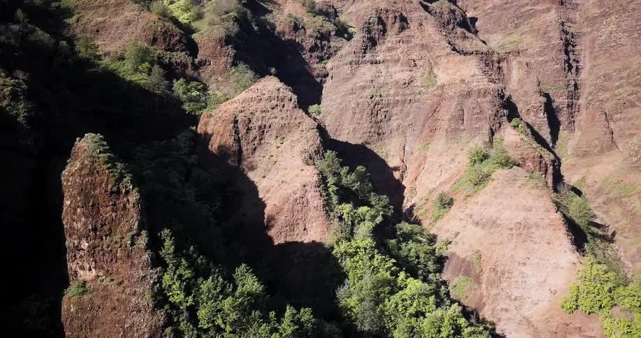 Trees cover a rocky landscape