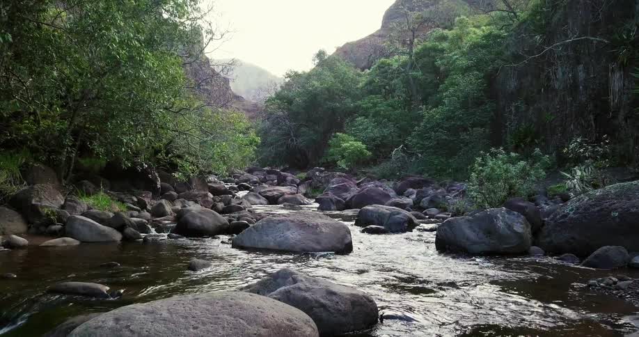 Water flowing through rocks in a stream in the middle of the woods