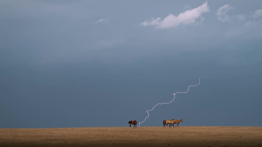 Lightning flashes near the horses on this field