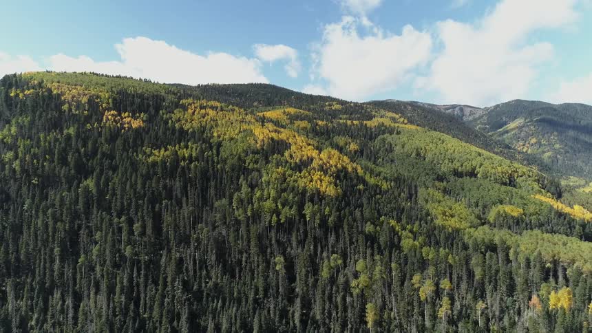 Blue sky over a mountain forest