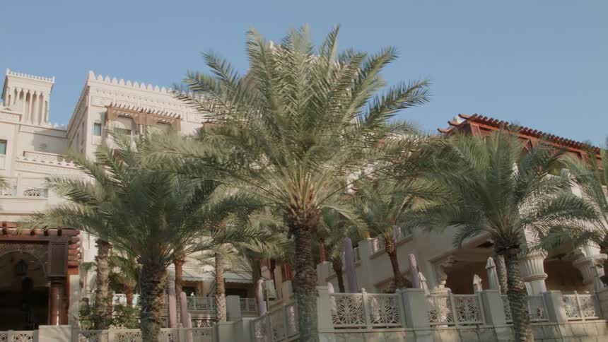 Palm trees in front of a large building