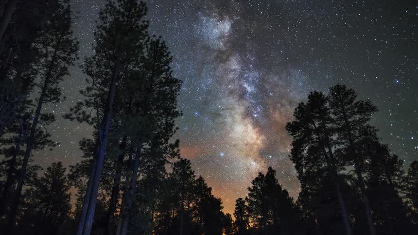 The night sky floats past forest trees as the sun rises