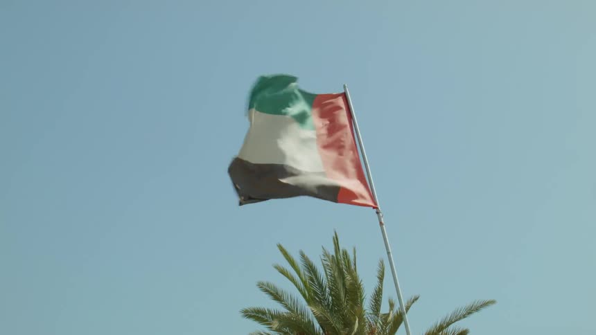 A flag blows wildly in the wind