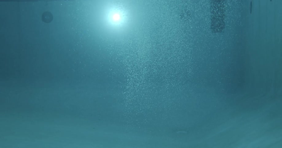 The water is blue with bubbles rising to the top