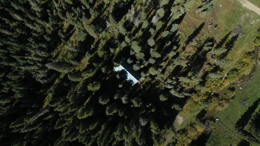 A lone house is in the middle of the woods