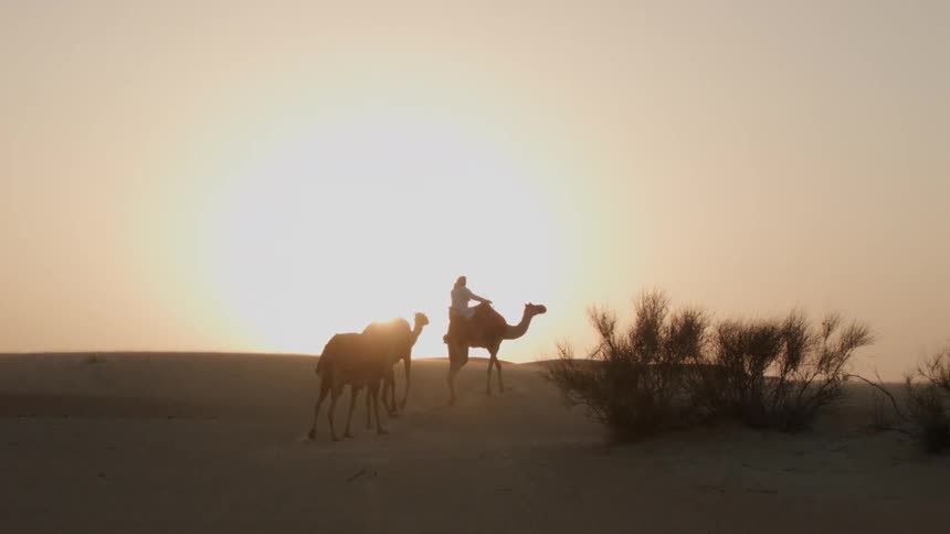 A person rides a camel into the setting sun