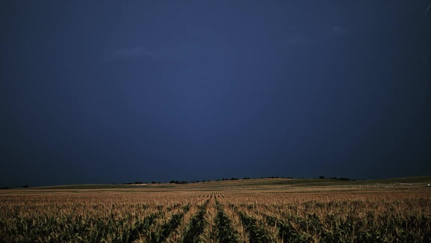 Lightning strikes in a field of crops
