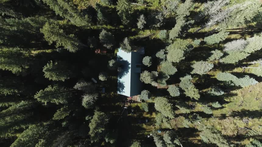 A small house is in the middle of trees