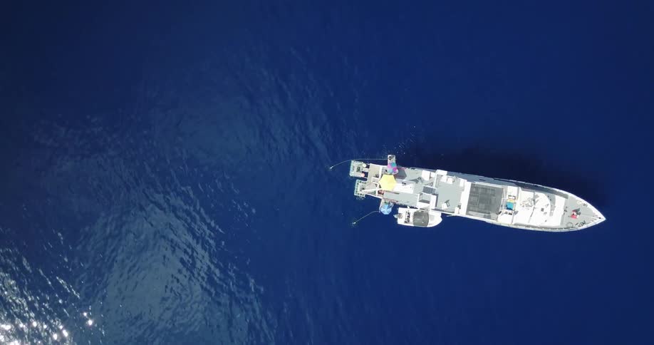 Bait lines trail off a ship floating on the ocean