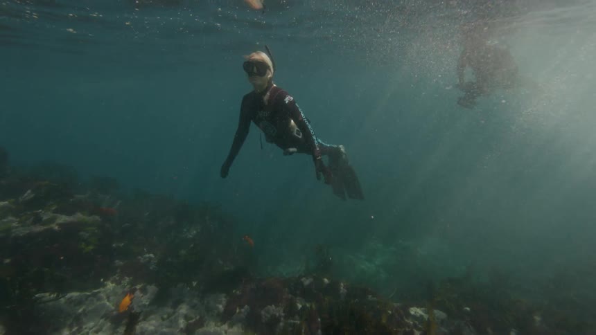 A snorkeler surfaces for a breath