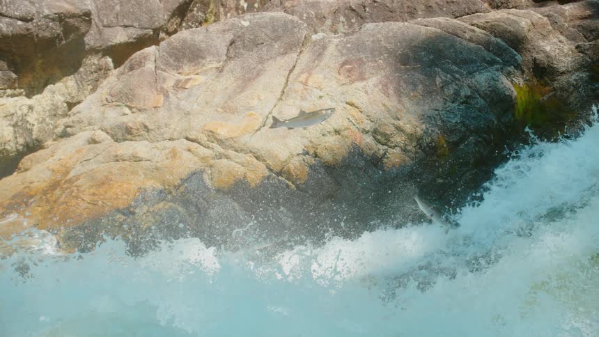 Water splashing in a river onto a rock