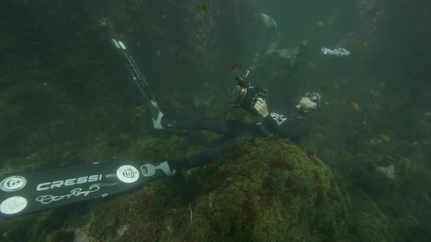 Diver sits on the ocean floor looking up at fish