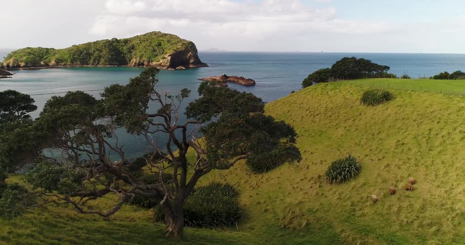 View of hills and trees next to a body of water