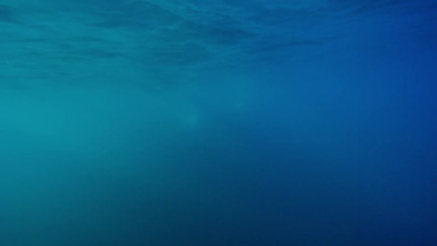 View of underwater on a sunny day