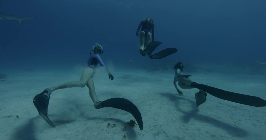 Three divers swim near the ocean floor