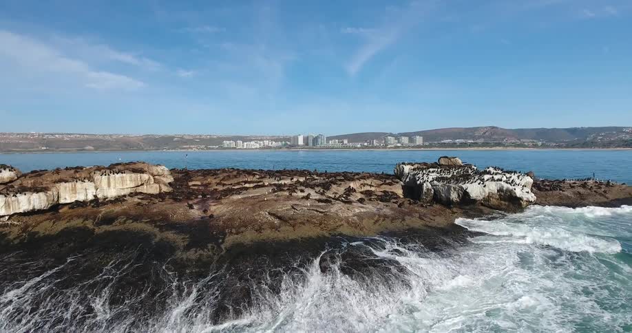 Birds sitting on a large rock with water splashing up
