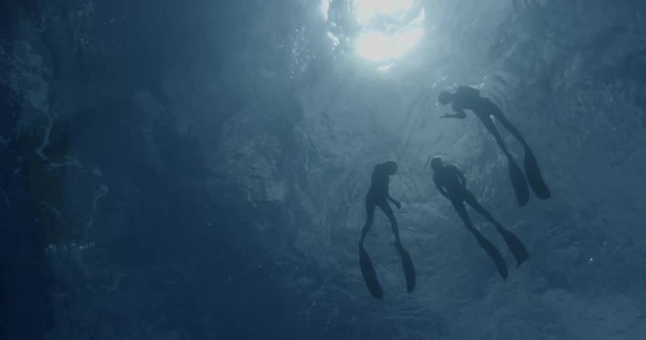 Three divers float near the ocean surface just above a school of sharks