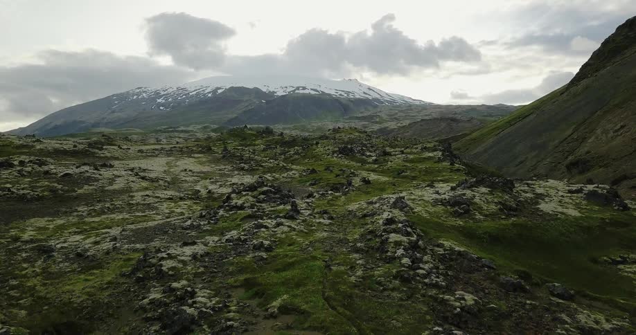 Scrubby grass and bushes in a field at the base of mountains