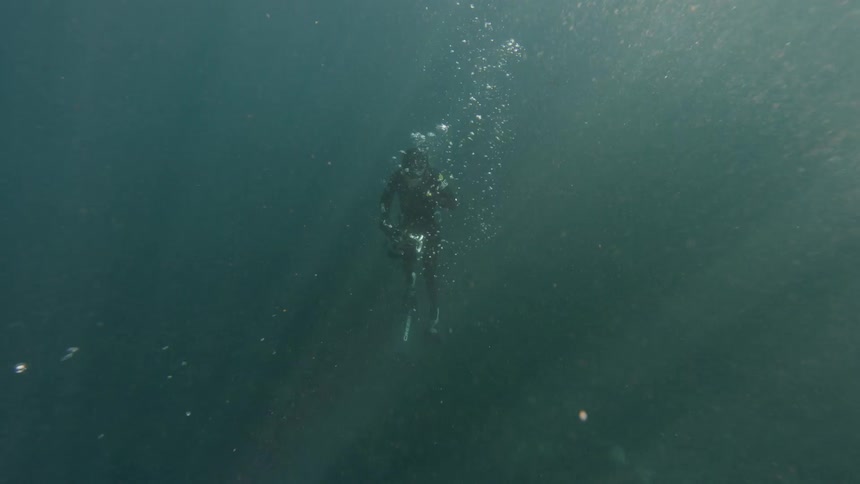 Diver floats in water on a sunny day
