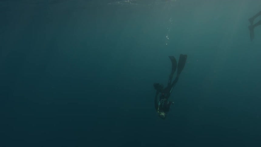 Divers swimming in some waters