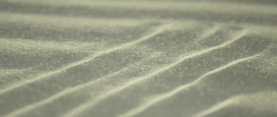Sand blowing in the wind