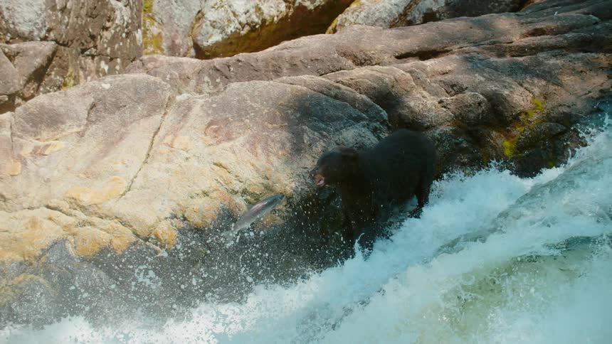 Water splashing in a river onto a rock