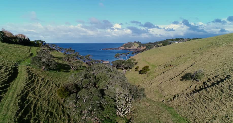 A seaside landscape is covered with grass and trees
