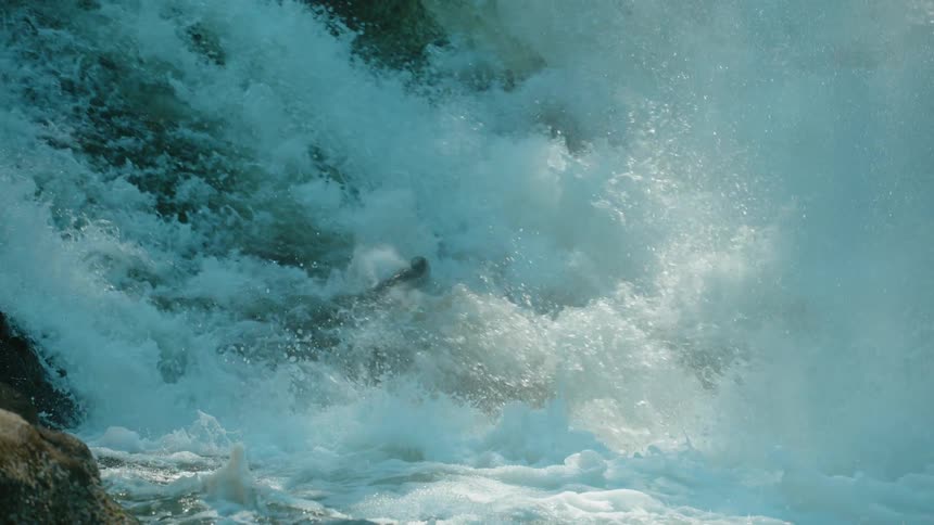 A salmon leaps as it tries to migrate up falls in a river