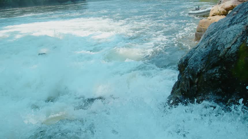 A fish jumps up a waterfall