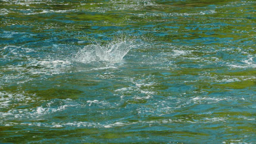 Flowing body of water on a sunny day