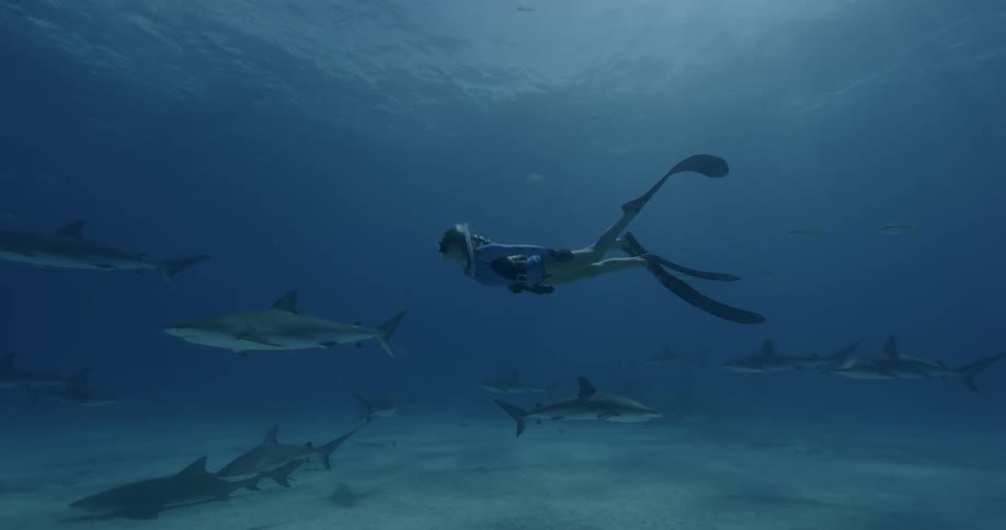 Two female snorkelers swim amongst a school of sharks