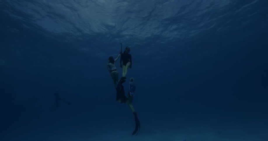 Female divers swim with sharks in the ocean