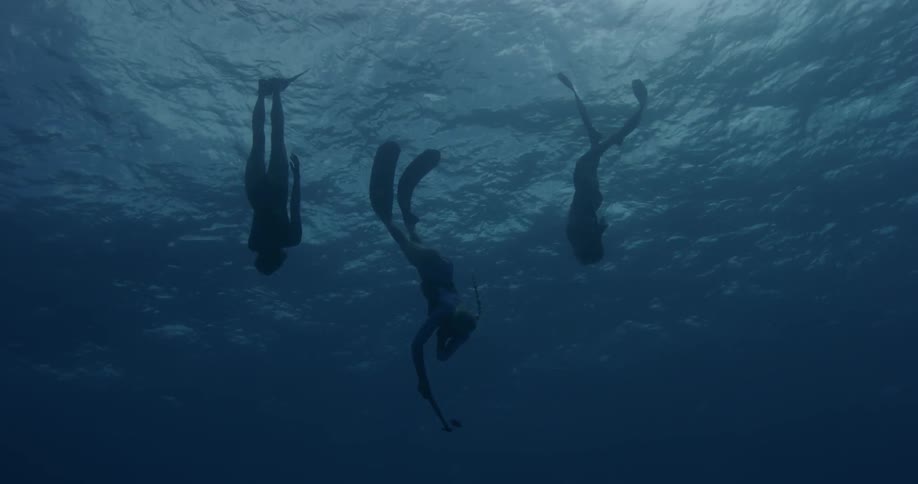 Three divers swim near the surface