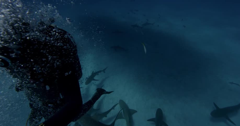 A diver is swimming up in the ocean away from a school of sharks
