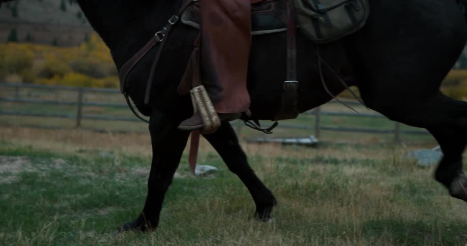 A horse with a rider runs in a fenced in field