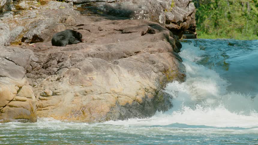 River flowing down a rocky shoreline with a bear resting near